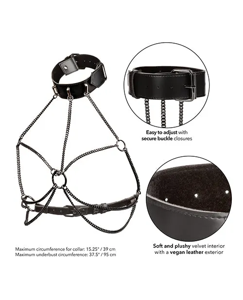 California Exotic Novelties Euphoria Collection Plus Size Multi Chain Collar Harness Plus Size