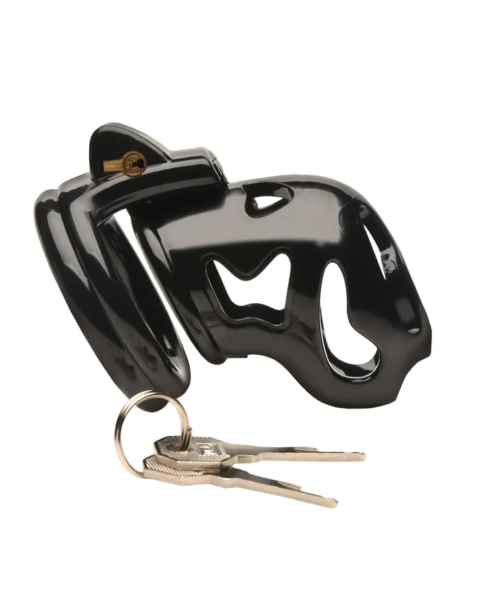 Male Sex Toys Master Series Hard Stop Double Ring Chastity Cage Black Xr LLC Male Sex Toys Master Series Hard Stop Double Ring Chastity Cage Black Xr LLC