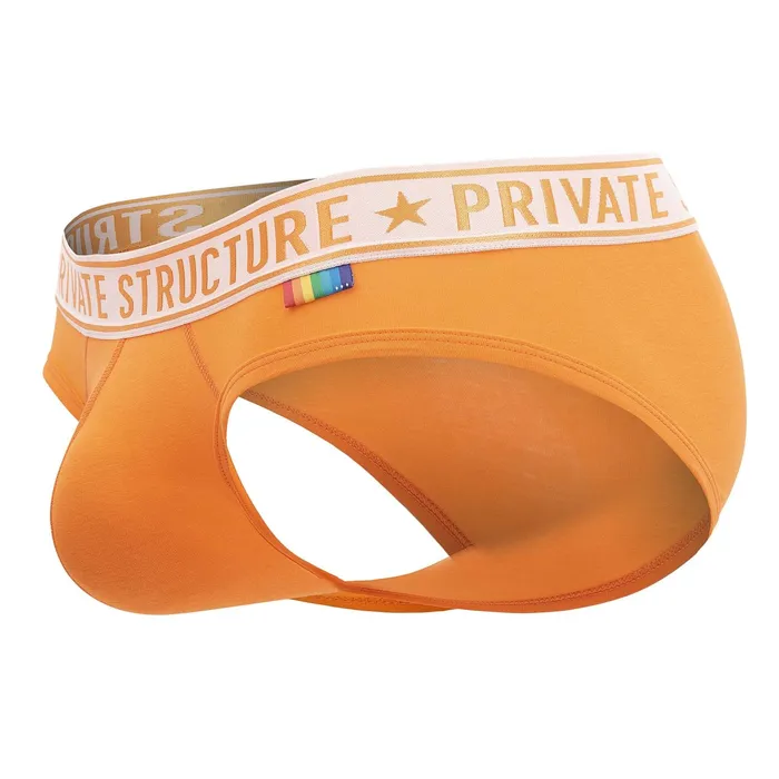 Pride 2PK Mid Waist Mini Briefs Private Structure Female Sex Toys