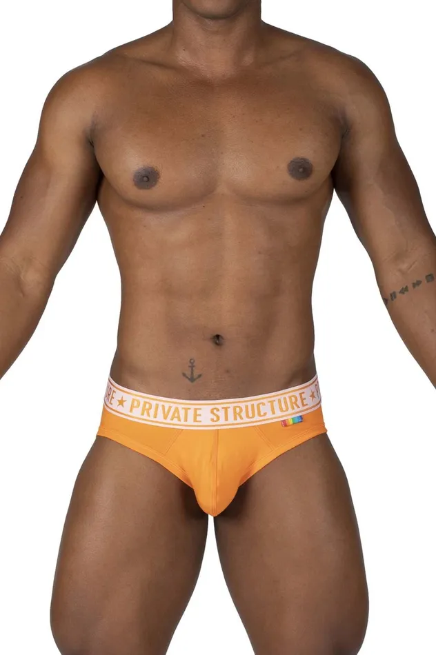 Pride 2PK Mid Waist Mini Briefs Private Structure Female Sex Toys