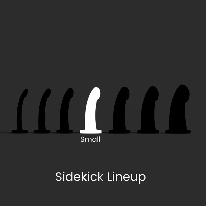 Sidekick Small Pan Pride Drip Medium Firm ThemFriends Male Sex Toys