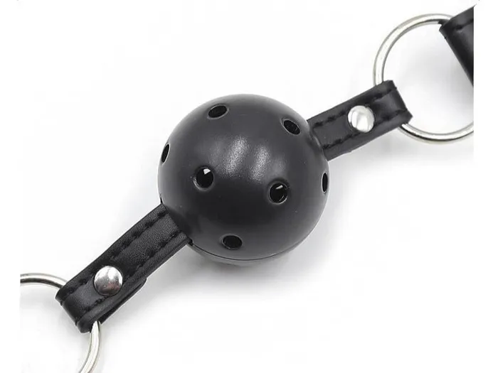 Female Sex Toys Own Pleasures Collar with Gag Nipple Clamps