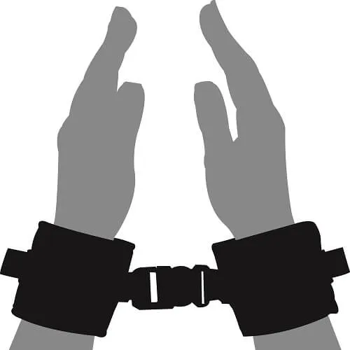 NNN Retail Ltd Anal Loving Joy Beginners Wrist Restraints