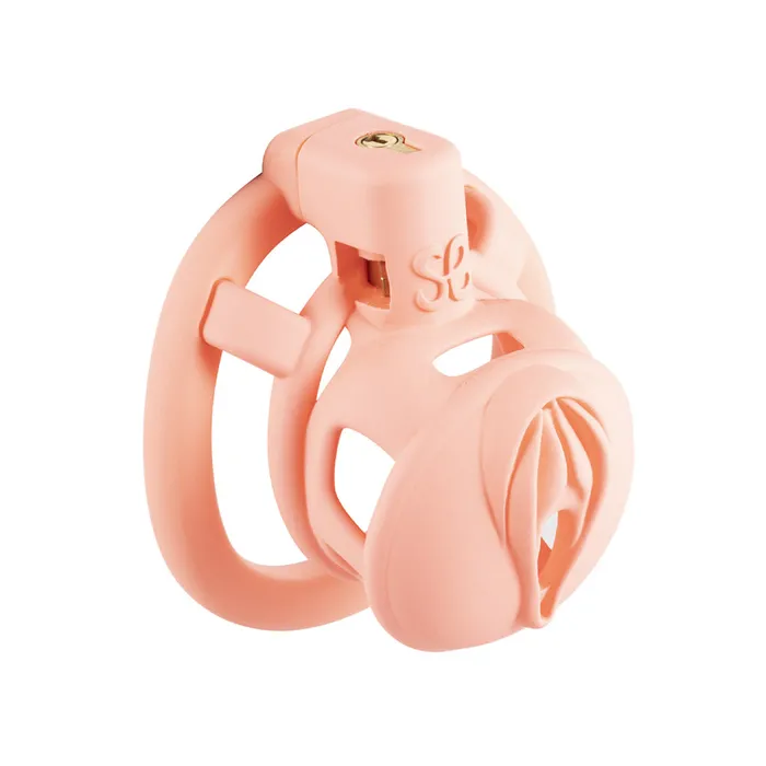 3D Pussy Chastity Cage CHASTITY CAGE CO Male Sex Toys