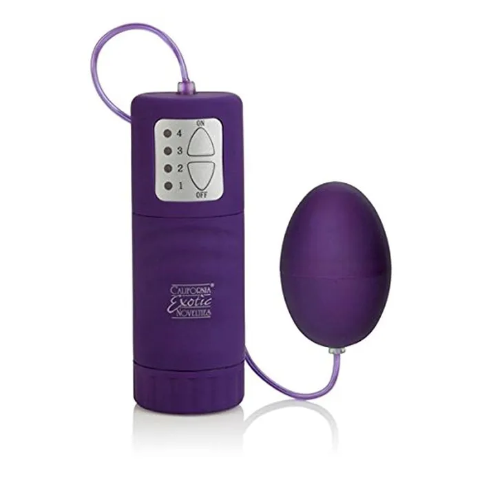 CalExotics California Exotics Waterproof Pocket Exotics Egg Vibe Vibrators CalExotics California Exotics Waterproof Pocket Exotics Egg Vibe Vibrators