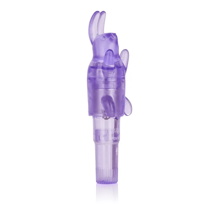 CalExotics Vibrators Shanes World Pocket Party Purple