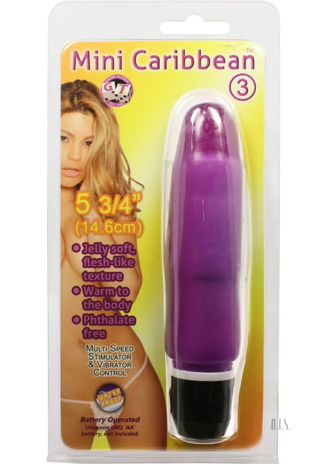 Golden Triangle Vibrators Mini Caribbean 3 Purple By Golden Triangle