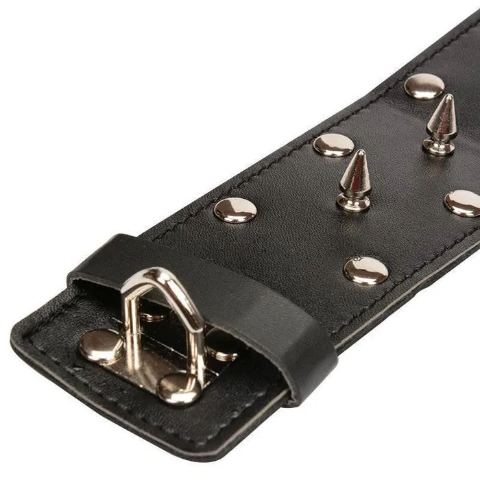 House of Dasein Couples Collars Leashes Spiked Leash Bdsm Play Accessories