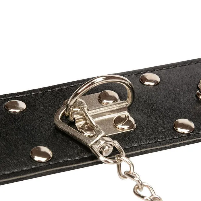 House of Dasein Couples Collars Leashes Spiked Leash Bdsm Play Accessories