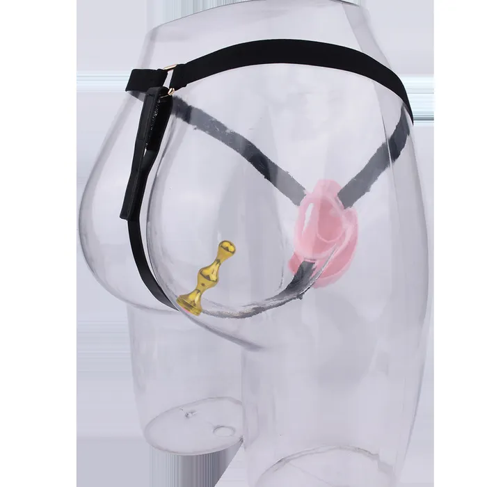 Male Sex Toys CHASTITY CAGE CO Pussy Chastity Cage With Wearable Butt Plug