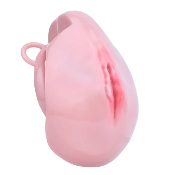 Male Sex Toys CHASTITY CAGE CO Pussy Chastity Cage With Wearable Butt Plug