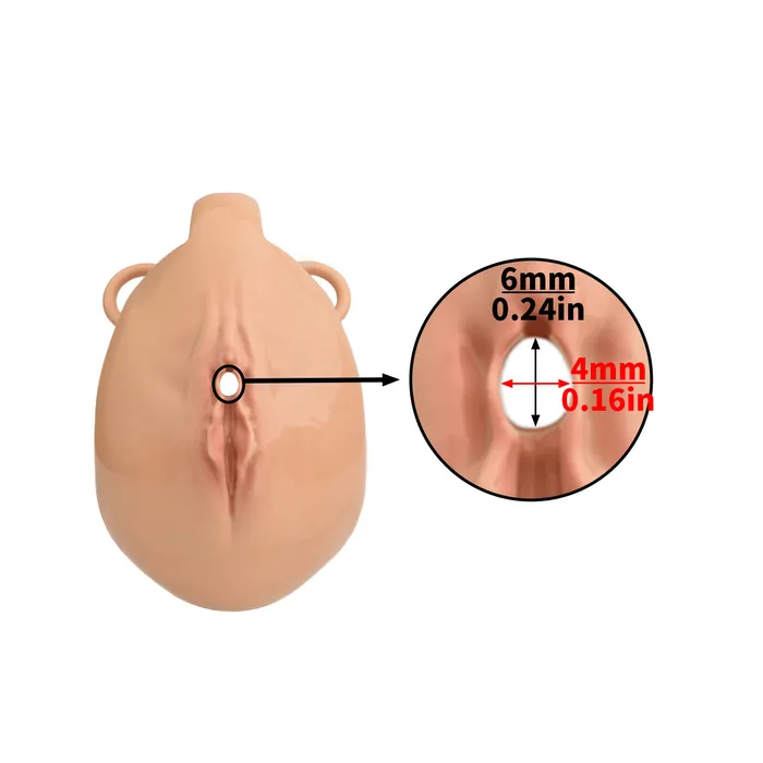 Male Sex Toys CHASTITY CAGE CO Pussy Chastity Cage With Wearable Butt Plug