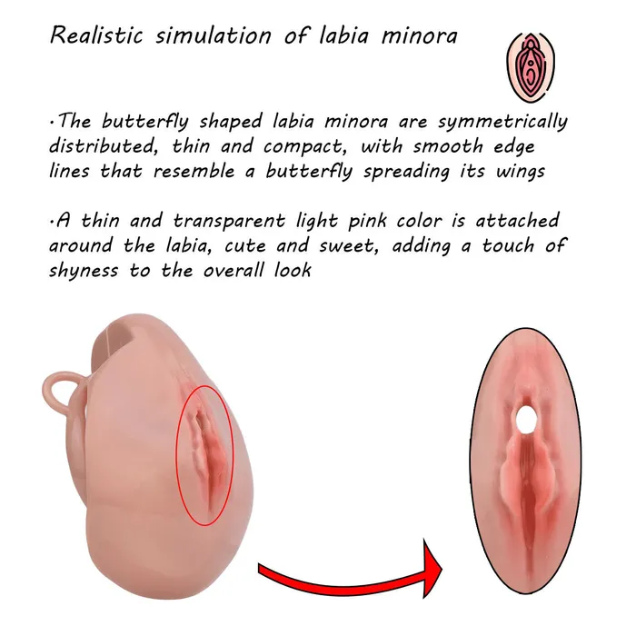 Male Sex Toys CHASTITY CAGE CO Pussy Chastity Cage With Wearable Butt Plug
