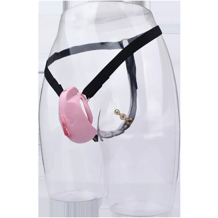Male Sex Toys CHASTITY CAGE CO Pussy Chastity Cage With Wearable Butt Plug