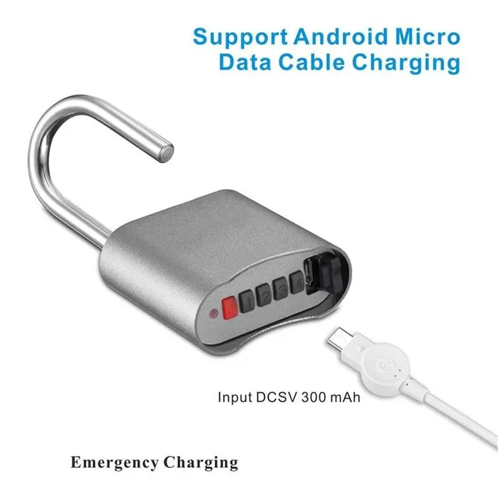 Male Sex Toys House of Dasein Chastity Toys Smart Bluetooth Number Padlock Chastity Locking Bdsm Bondage Restraints