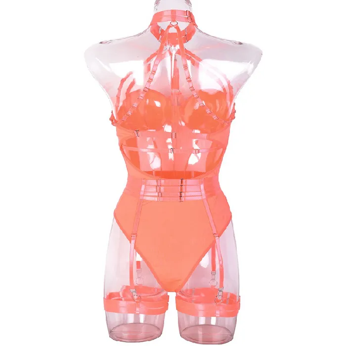 Erotic Female Halter Bodysuit Fancy Transparent Lingerie With Garters Sexy Body Outfits EVEs SECRETS Female Sex Toys