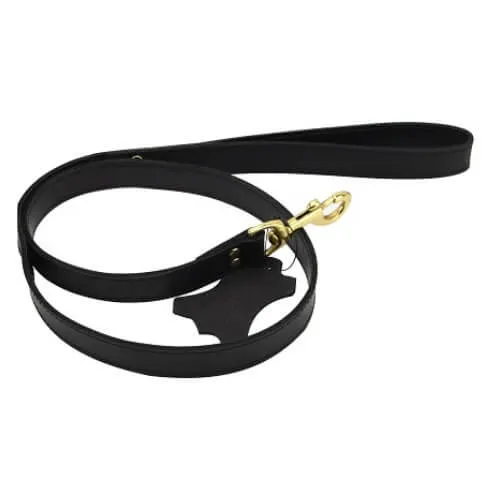 Restraints Bound to Please Bound Noir Nubuck Leather Leash with Brass Details Durable Elegant Design for Ultimate Control