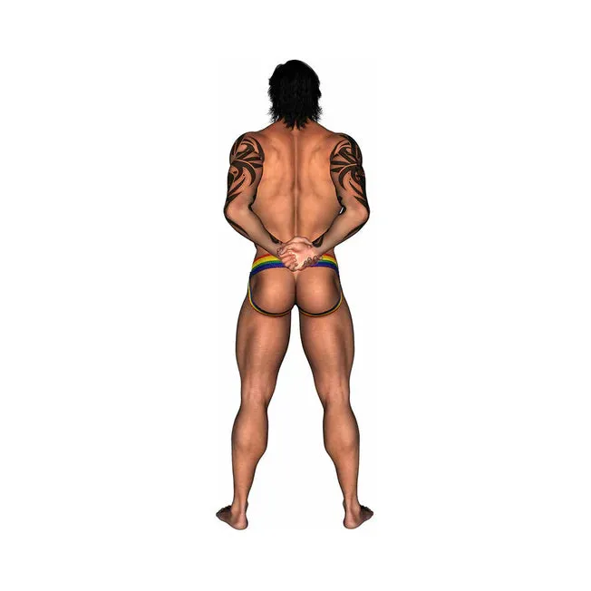 Rouge Garments LTD Leather Jock Strap with MultiColored Pride Stripe Medium Female Sex Toys