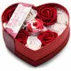 The Rose Lovers Gift Box Bloomgasm Swirl XR Brands inmi Vibrators