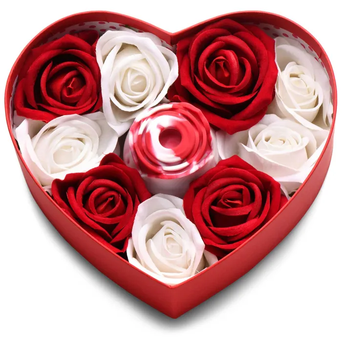The Rose Lovers Gift Box Bloomgasm Swirl XR Brands inmi Vibrators