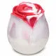 The Rose Lovers Gift Box Bloomgasm Swirl XR Brands inmi Vibrators