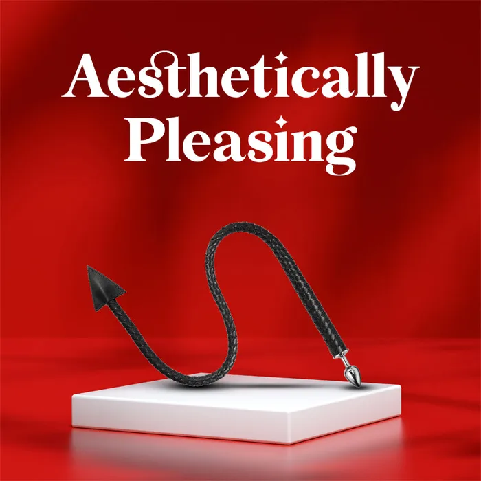 Anal Nocturnal Fantasy Whip With Butt Plug 2 in 1 FRISKY BUSINESS SG
