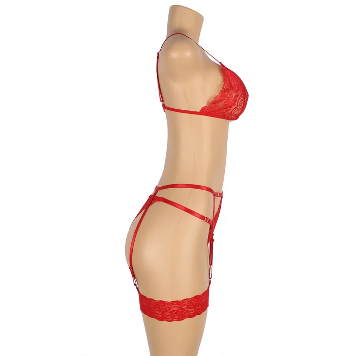 Bra Set 2 Pcs Lace Hollow Out Bra Set with Garter Leg Ring FRISKY BUSINESS SG Male Sex Toys