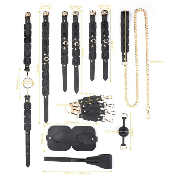 FRISKY BUSINESS SG Control Bond BDSM 9 Pcs Set With Passcode Box Female Sex Toys