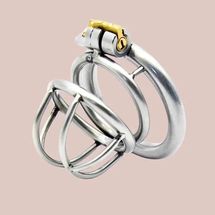 House of Chastity Male Sex Toys The Lock Up Small Chastity Device