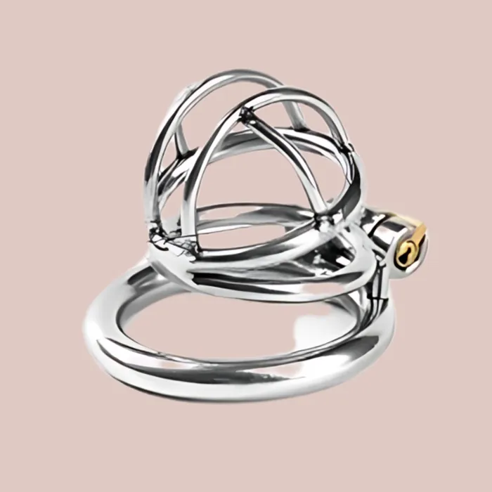 House of Chastity Male Sex Toys The Lock Up Small Chastity Device