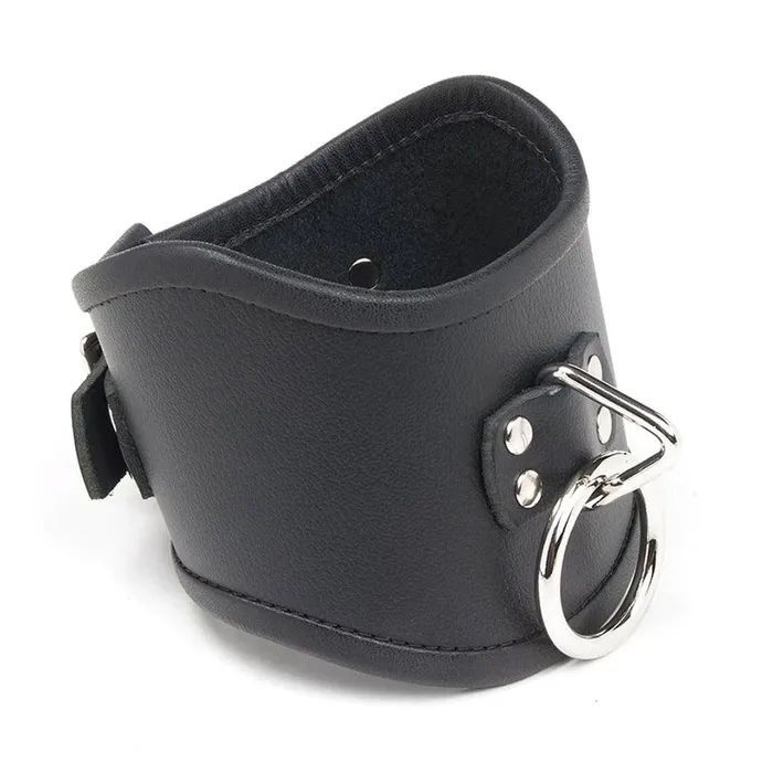 The Stockroom Female Sex Toys Tall Curved Posture Collar w Locking Buckle