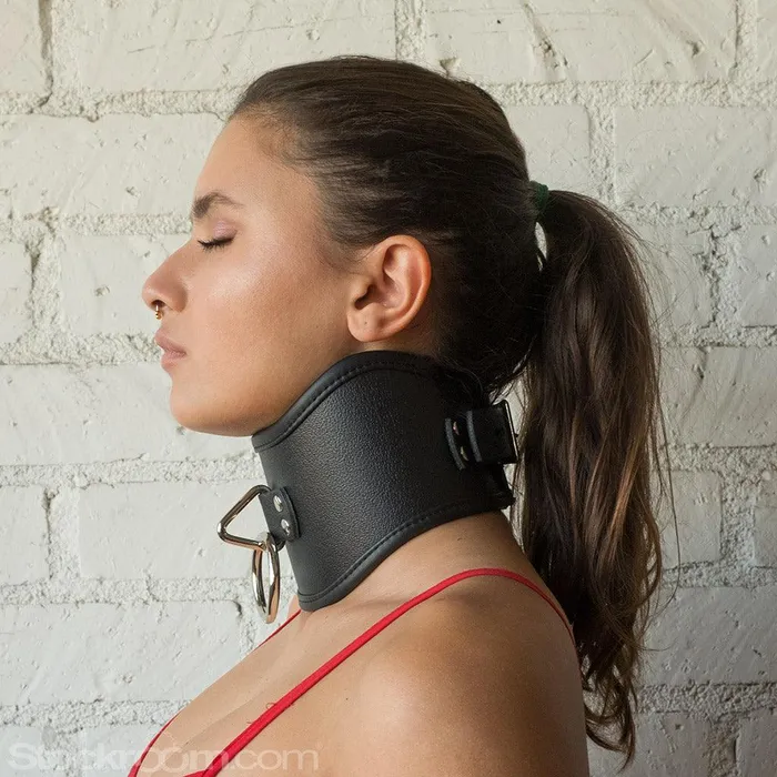 The Stockroom Female Sex Toys Tall Curved Posture Collar w Locking Buckle