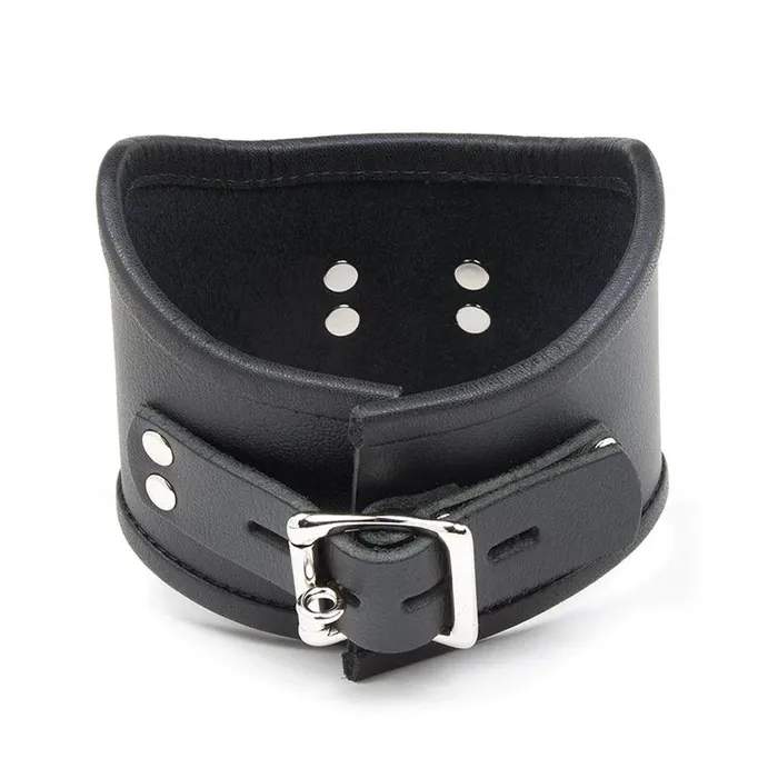 The Stockroom Female Sex Toys Tall Curved Posture Collar w Locking Buckle