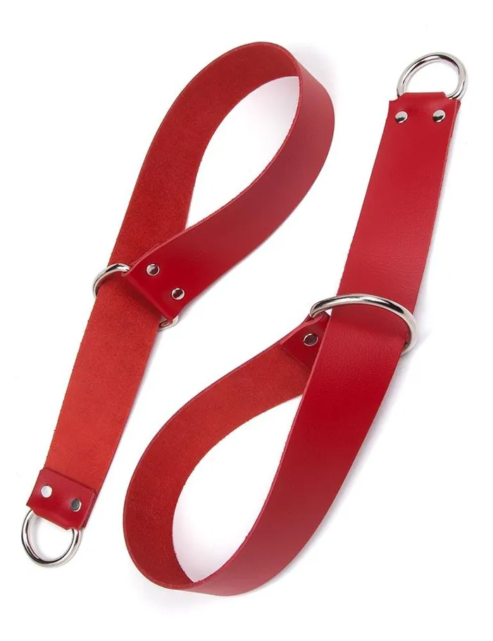 vendorunknown Couples General Purpose Bondage Straps