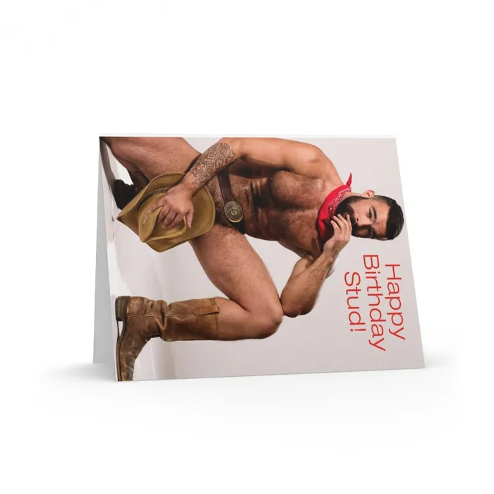 Vibrators COLT Man Birthday Card Packs Brian Maier Printify