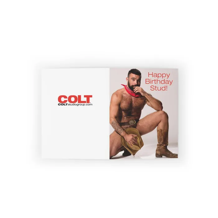 Vibrators COLT Man Birthday Card Packs Brian Maier Printify
